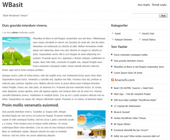 WBasit WordPress Teması
