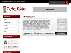 pBlog WordPress Teması